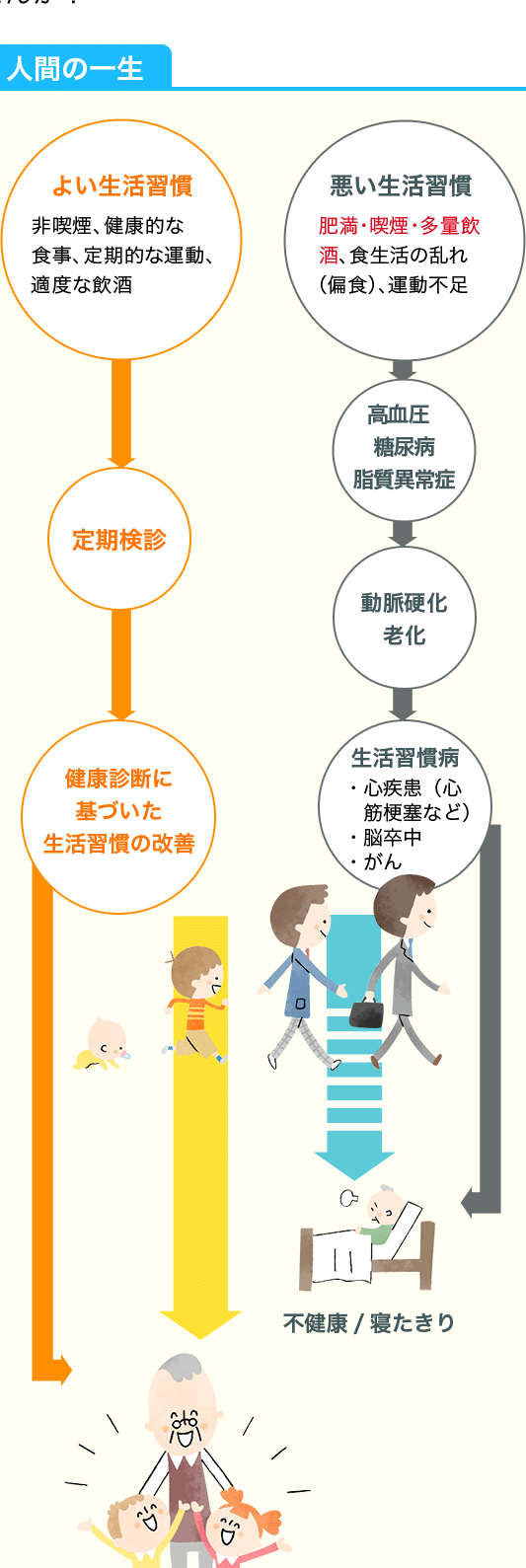 人間の一生